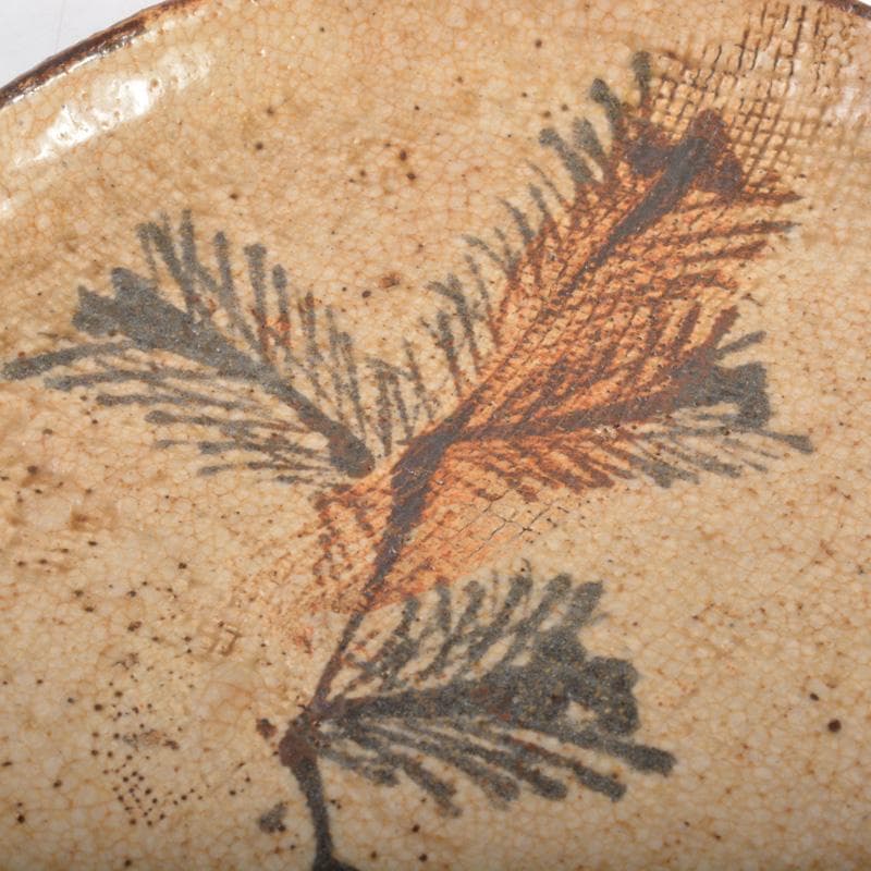 古瀬戸　絵瀬戸　鉄絵　草文皿　五客　時代箱付　V　6304