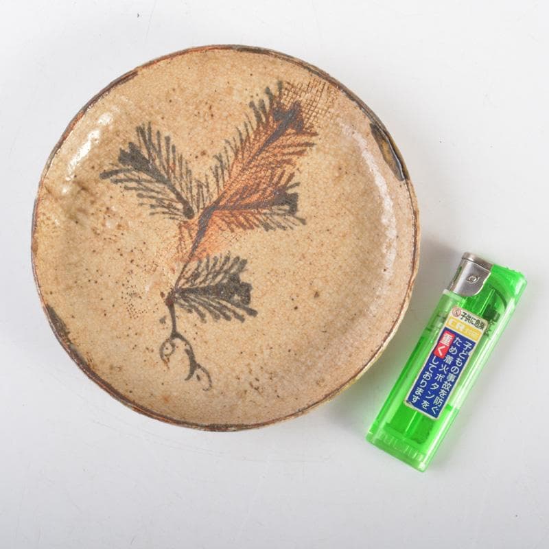 古瀬戸　絵瀬戸　鉄絵　草文皿　五客　時代箱付　V　6304