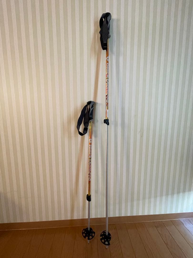  スキー用ポール ゴールド