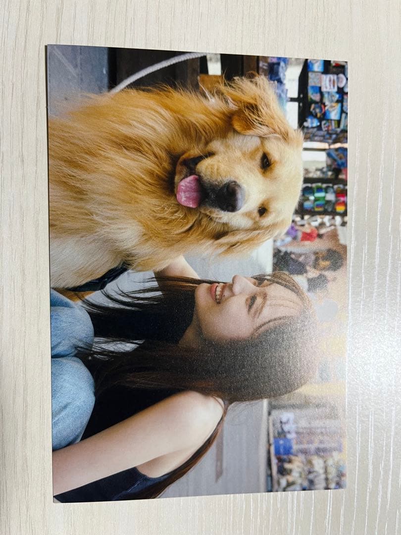 乃木坂46 梅澤美波　写真集　透明な覚悟　書店ポストカード　18種フルコンプ