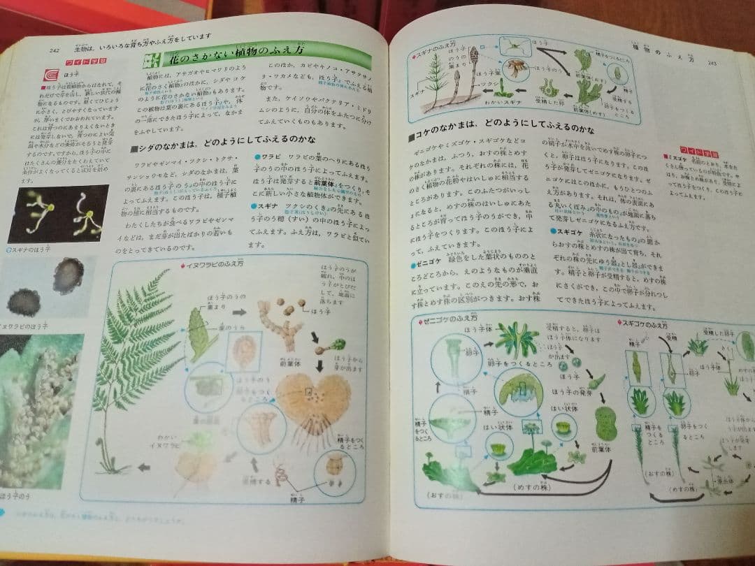 旺文社 教科別学習大辞典 小学生中学生向け教科別学習辞典