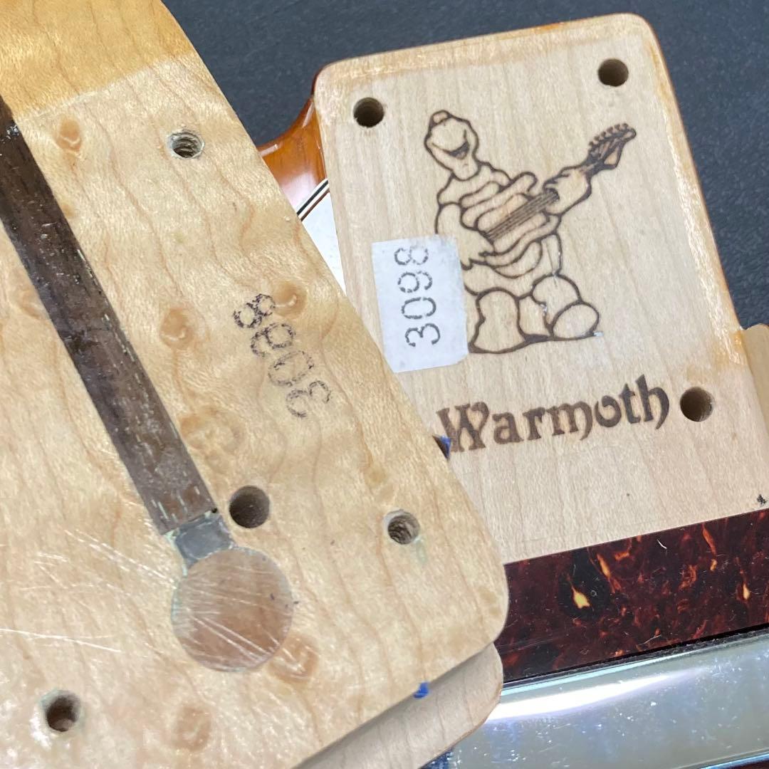 ギター Fender Warmoth Telecaster Thinline