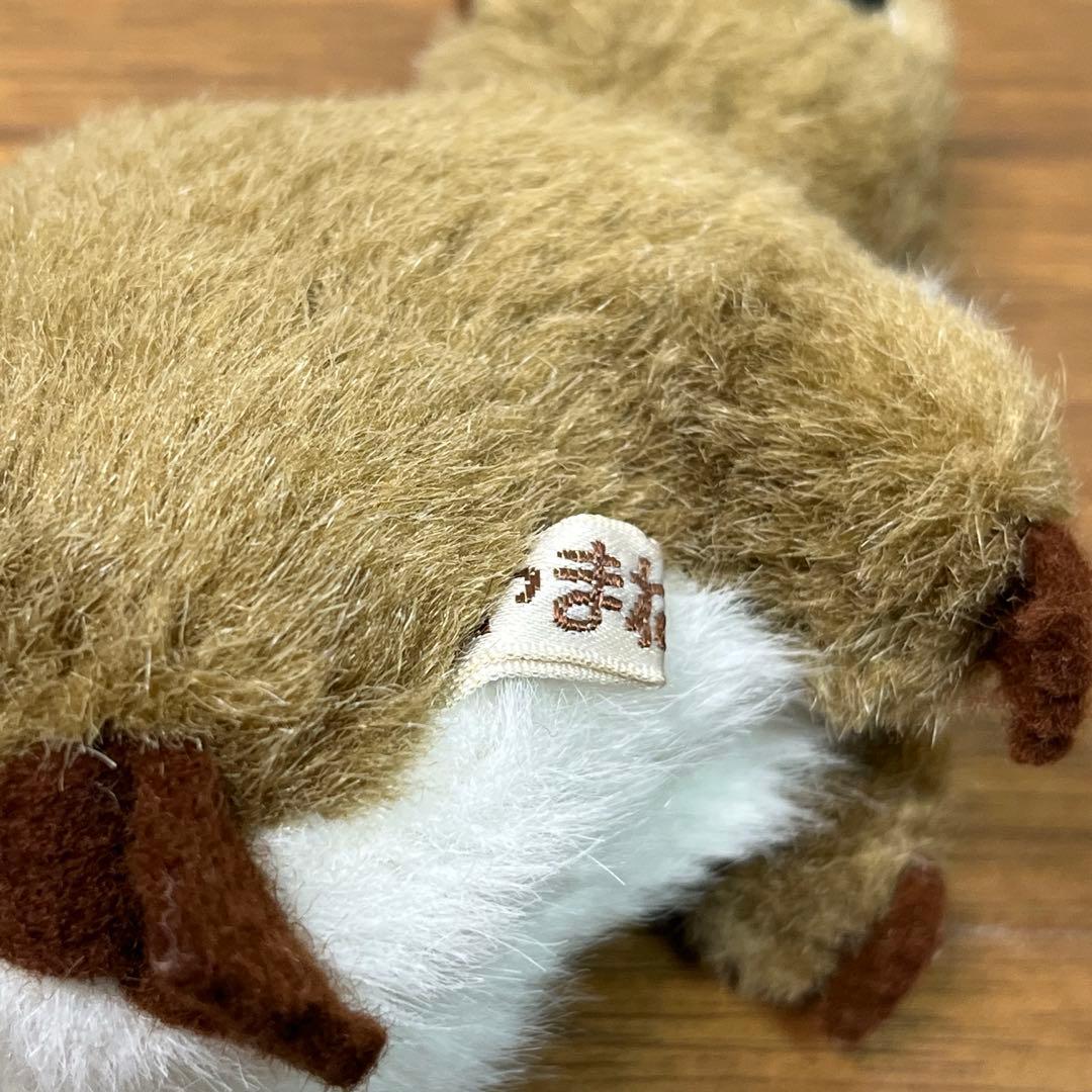 やまね工房　ニホンリスの親と、子供のセット