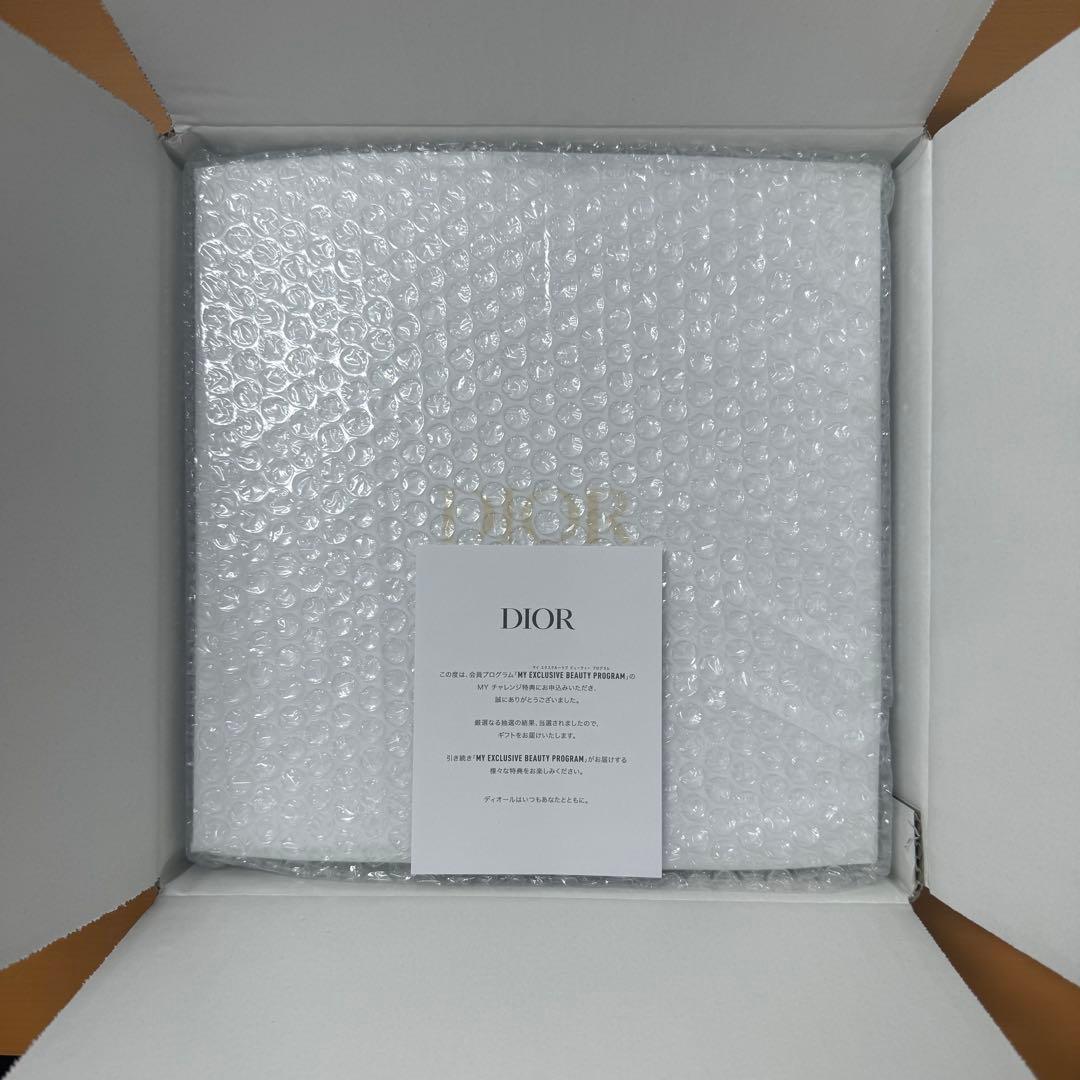 DIOR マイチャレンジ パズル