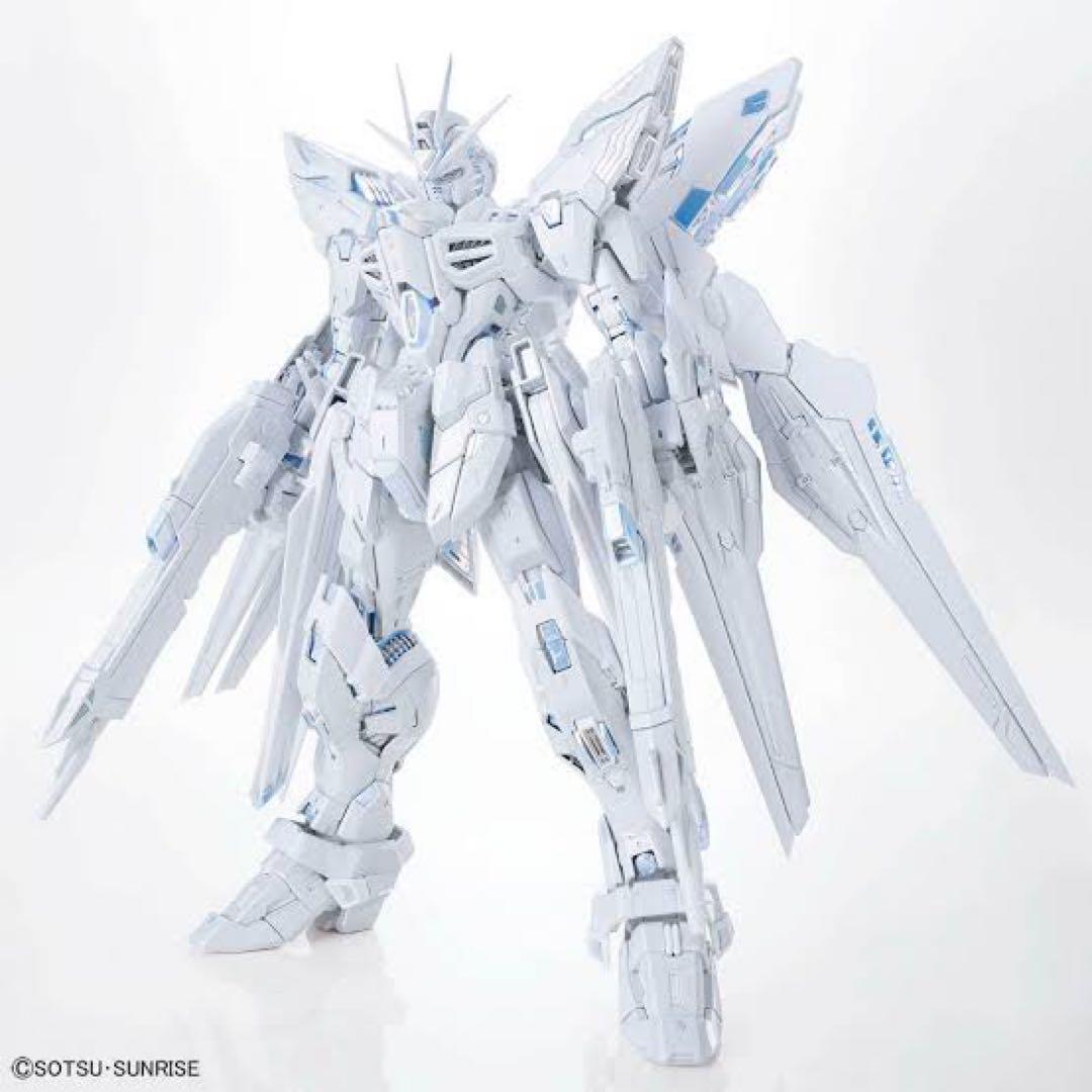 早い者勝ち　ストライクフリーダムガンダム TWILIGHT COATING