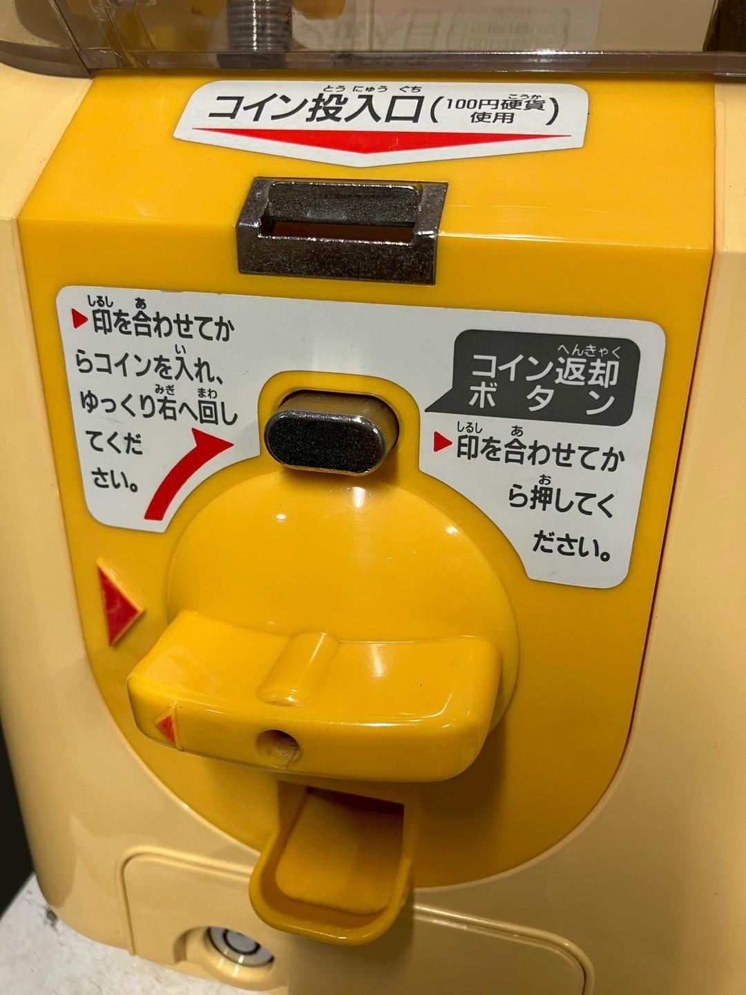 【櫻庭ネク様】特価品SHO-004C 【ユージン】スリムボーイハーフサイズ