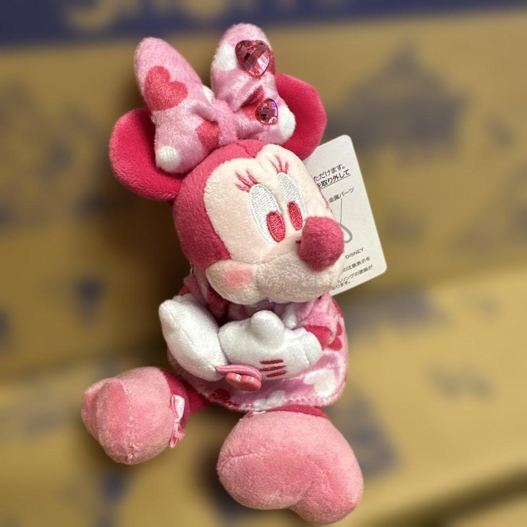ディズニー パルパルーザ ミニーのファンダーランド 3点おまとめ 完売品