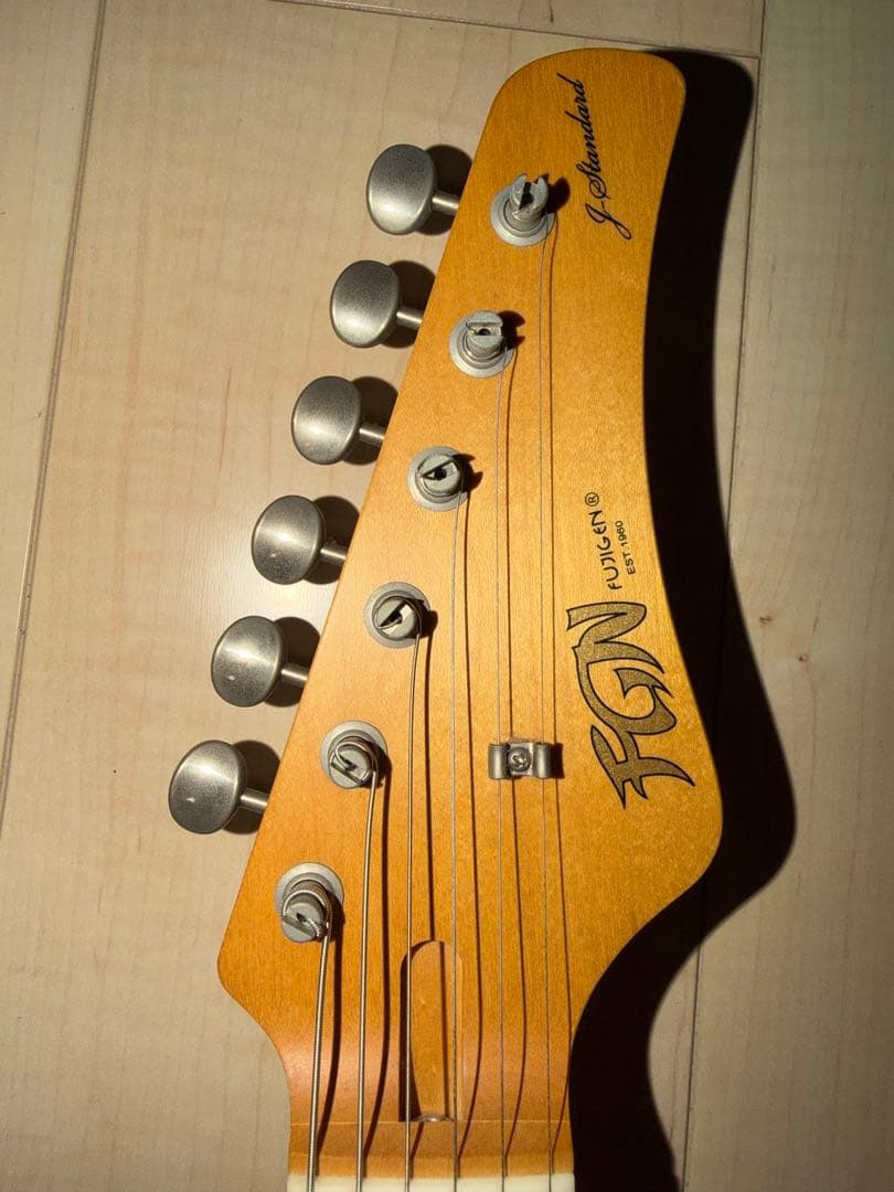 FGN フジゲン　弦2セット　ギターソフトケース付