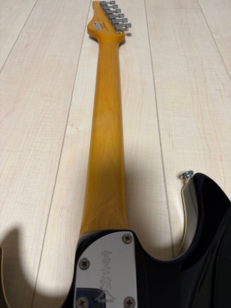 FGN フジゲン　弦2セット　ギターソフトケース付
