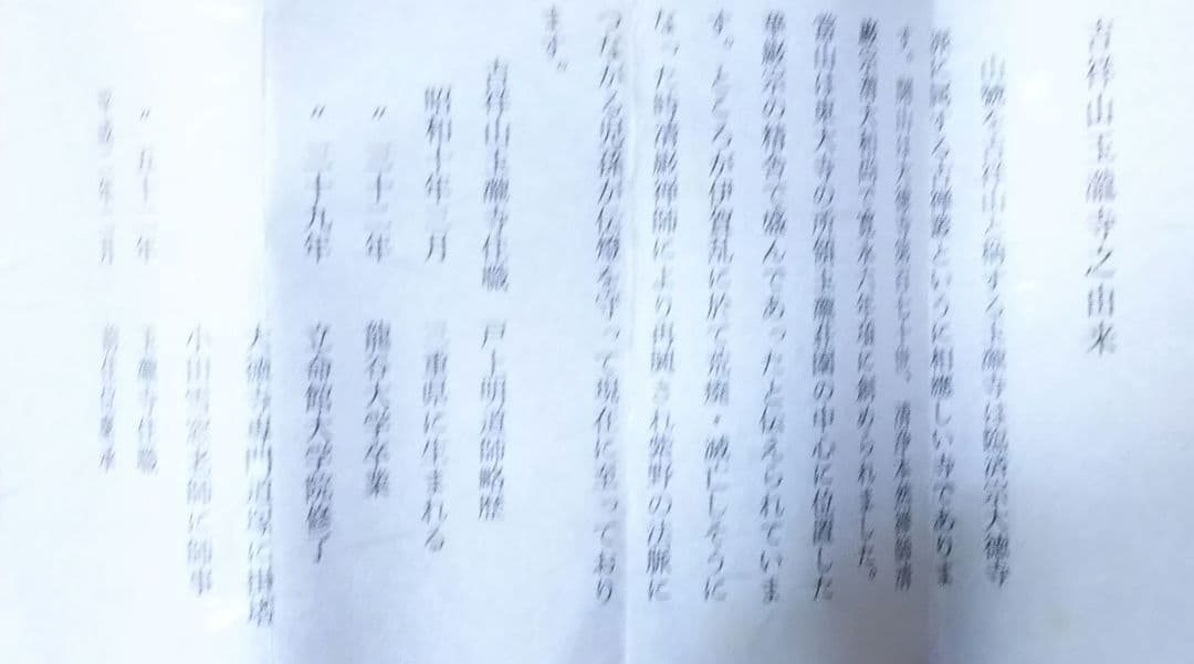茶道具 掛軸 画賛 仲春洋 紅梅 大徳寺 戸上明道 和尚 筆 一朶香