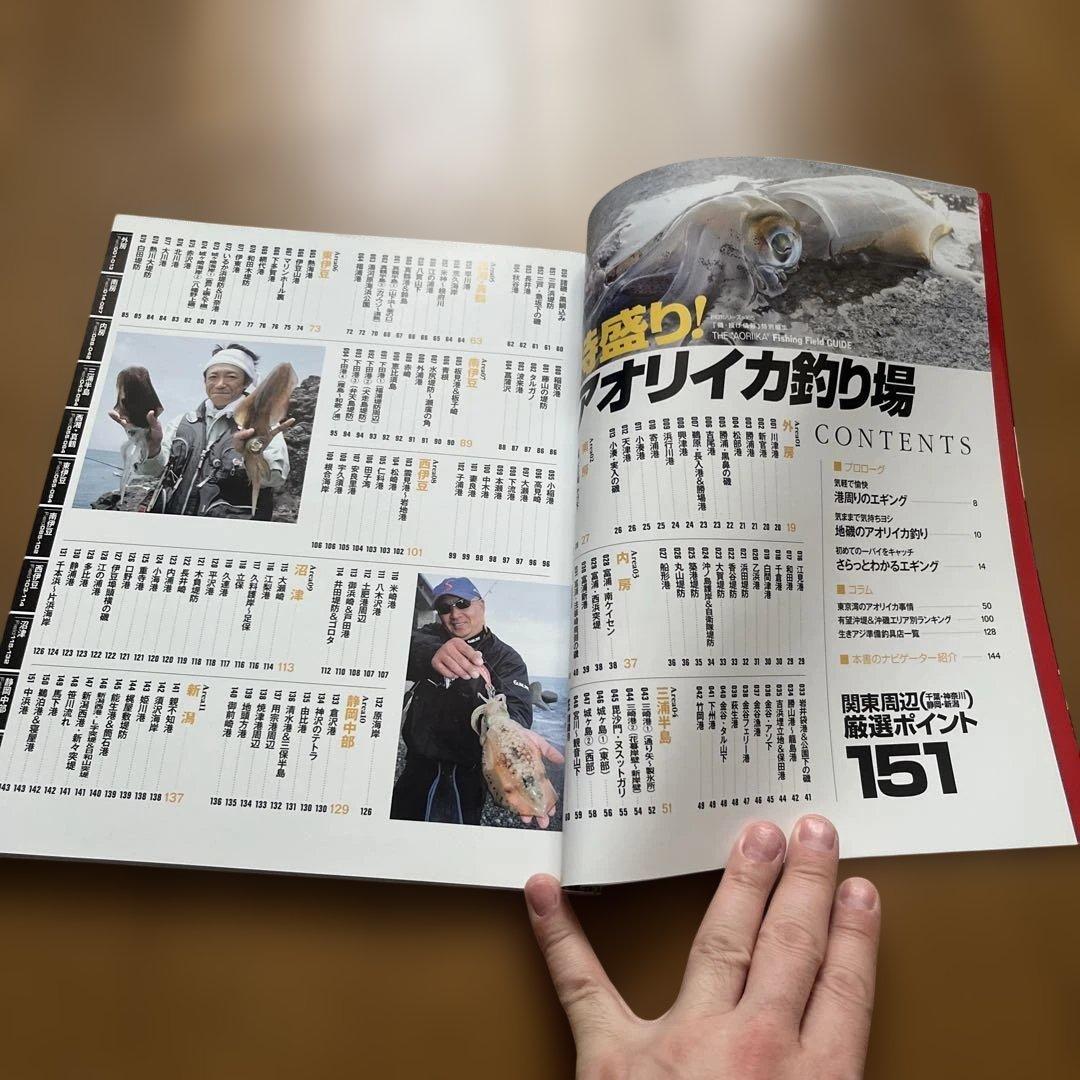 特盛り!アオリイカ釣り場　関東周辺（千葉・神奈川・静岡・新潟）厳選ポイント151