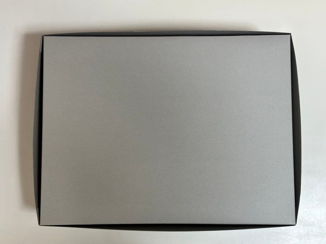 即日発送　MGEX 1/100 ストライクフリーダムガンダム メカニカルクリア