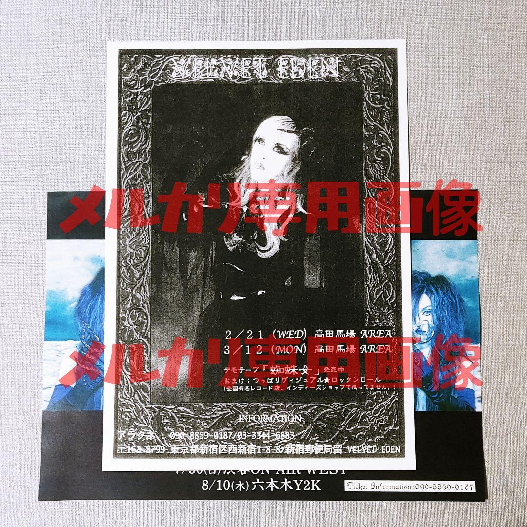 VELVET EDENフライヤー Kaya Schwarz Stein DADA