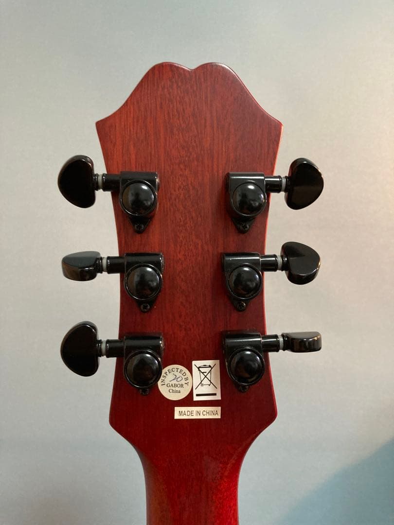 Epiphone by Gibsonエピフォン dot studio WS