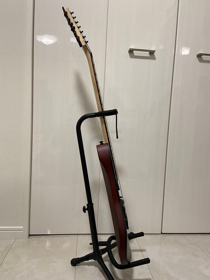 【shiinさん専用】Ibanez RG7421PB TGF 7弦ギター