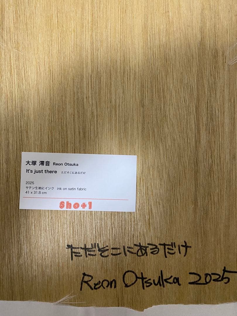 現代アーティスト大塚澪音の作品