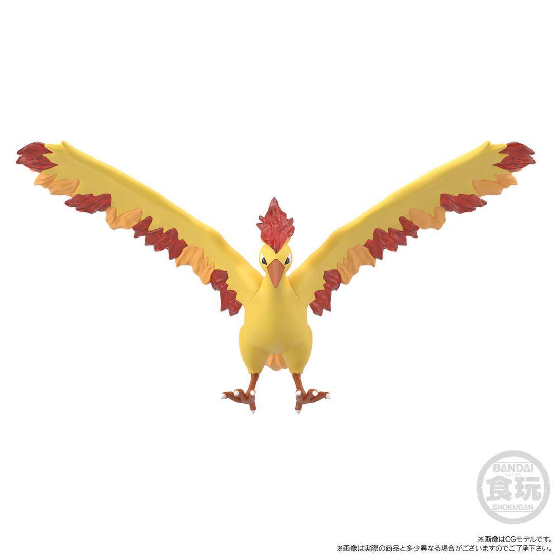 ポケモンスケールワールド　カントー地方　フリーザー＆サンダー＆ファイヤー