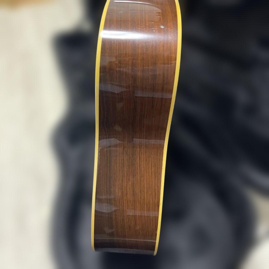 Martin & Co. アコースティックギター