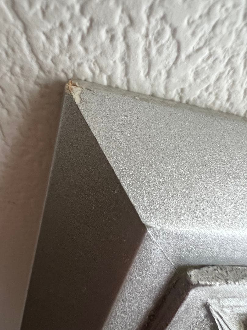 東京ディズニーランド　ミレニアム記念パスポート 額縁入　未使用　JCB