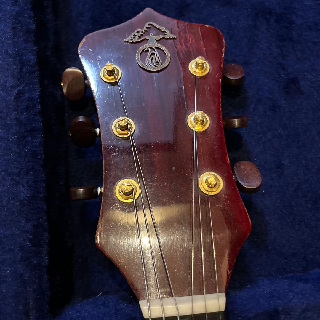 Alembic MSG 1979年