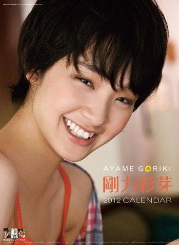 激レア 新品未開封 剛力彩芽 2012カレンダー