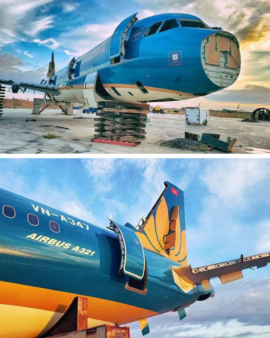 ベトナム航空 Planetags A321-200 ロゴカット