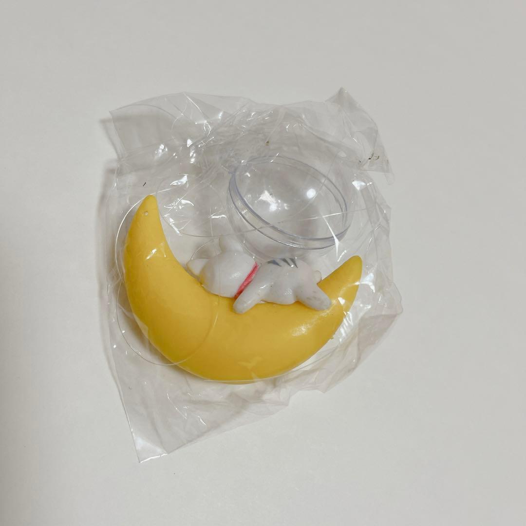 お買い得❤️5個セット　水槽用飾り