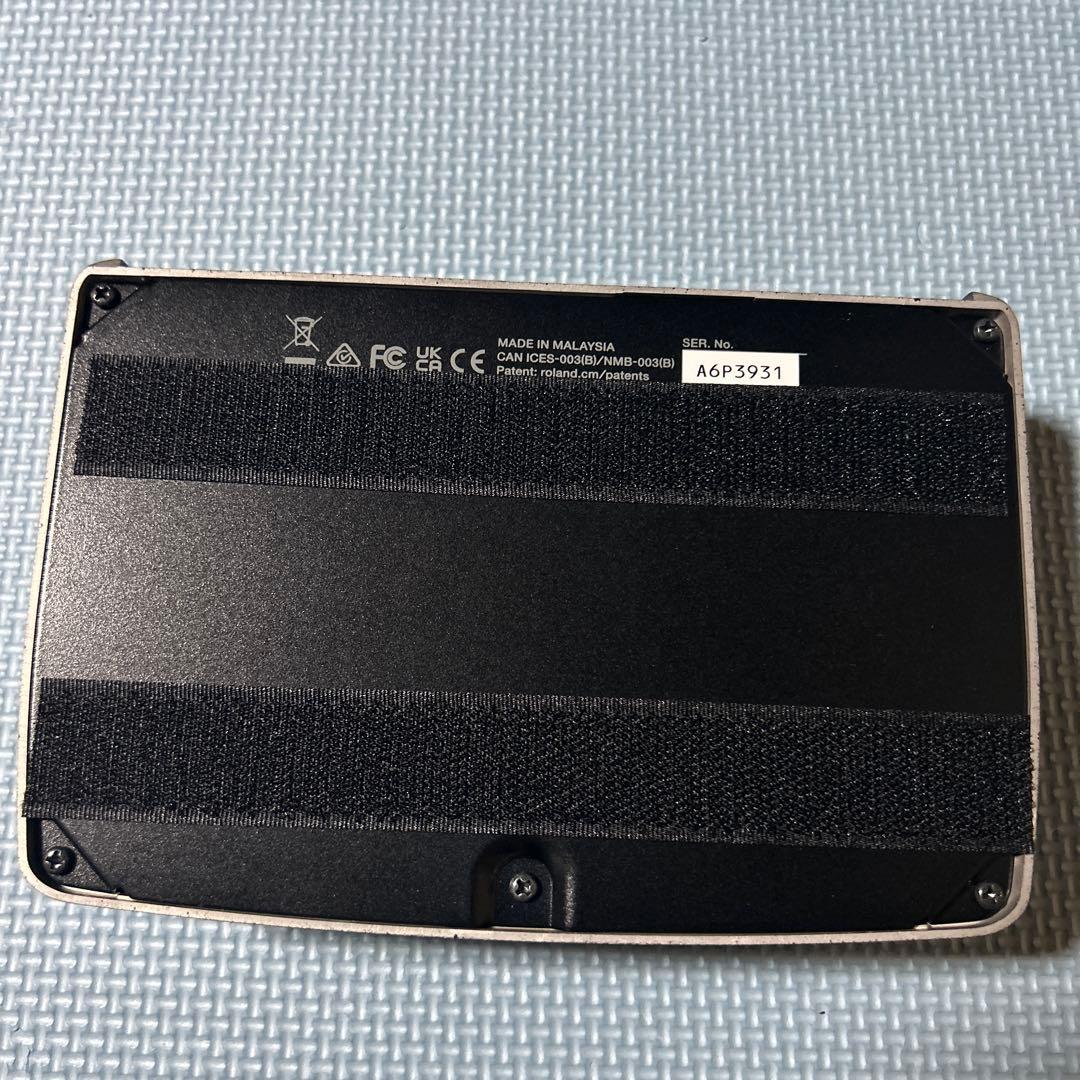 ギター BOSS RE-202