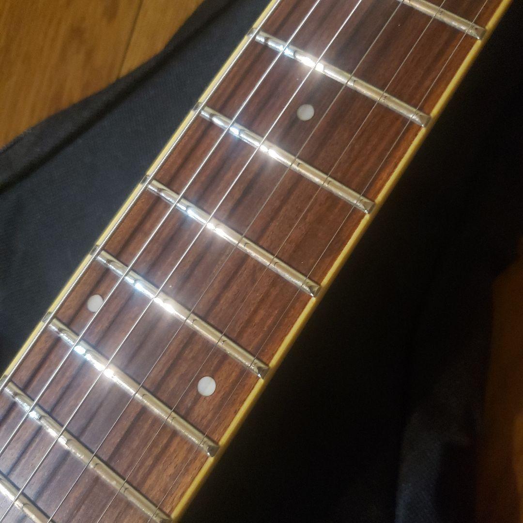 ギター FERNANDES APG-55S SBL