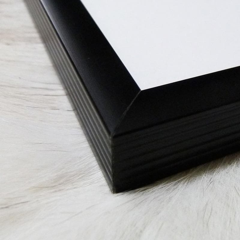 額装品/100 Cats and a Mouse/ヴィットリオ フィオルッチ