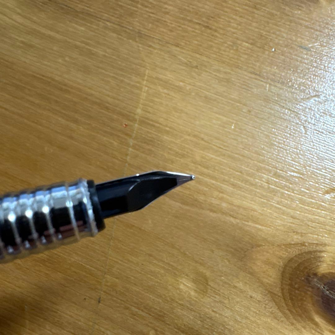 rotting 900 万年筆 Fニブ