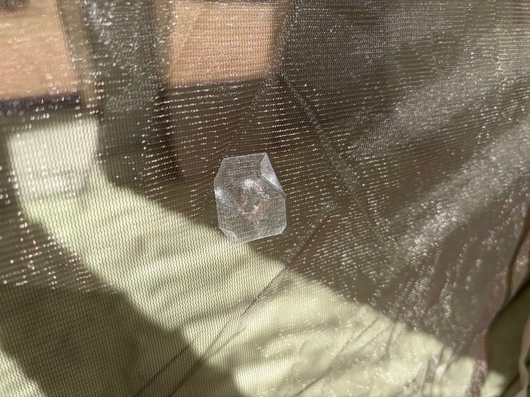 スプリングバー　ファミリーキャンパー7