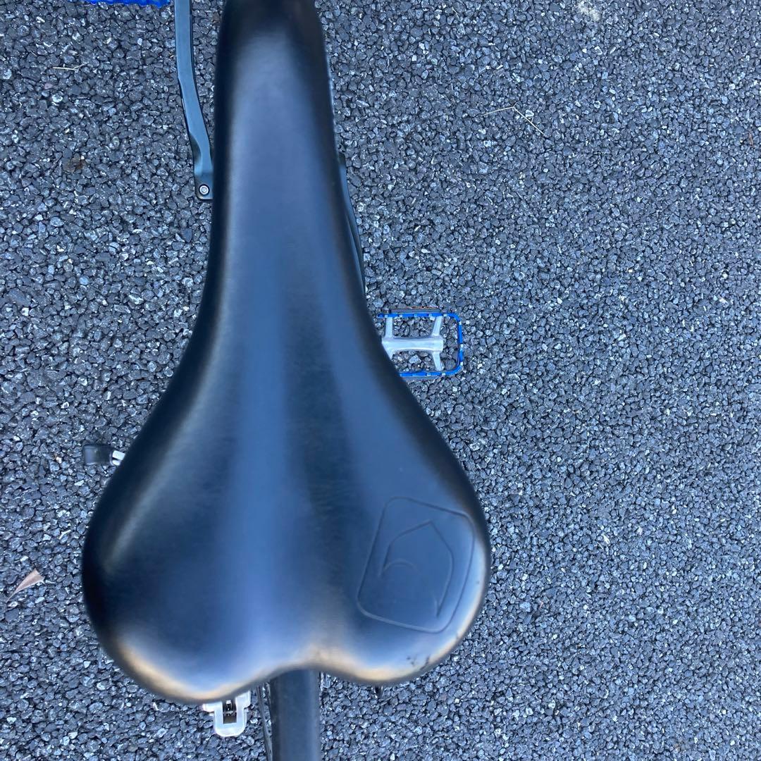 送料上乗せ18500円【サイズ42】ルイガノ LOUIS GARNEAU
