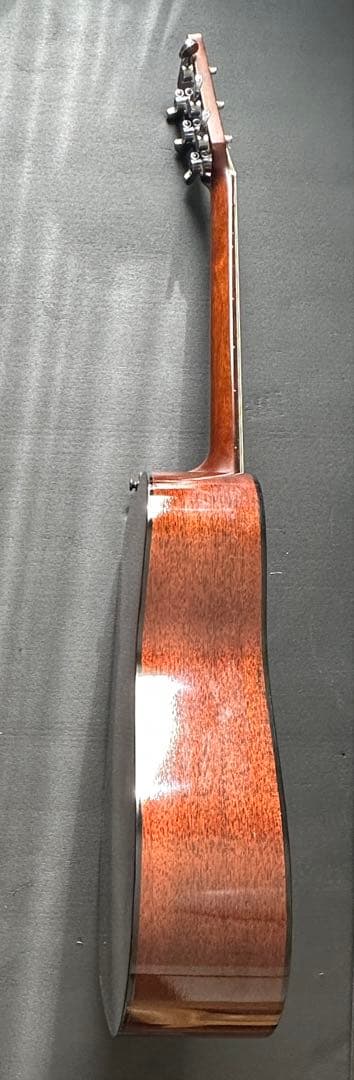Takamine F340S タカミネ Lawsuit
