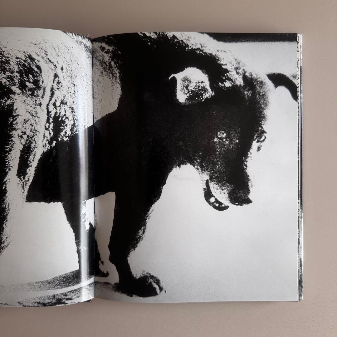 (サイン入初版)DAIDO MORIYAMA 森山大道