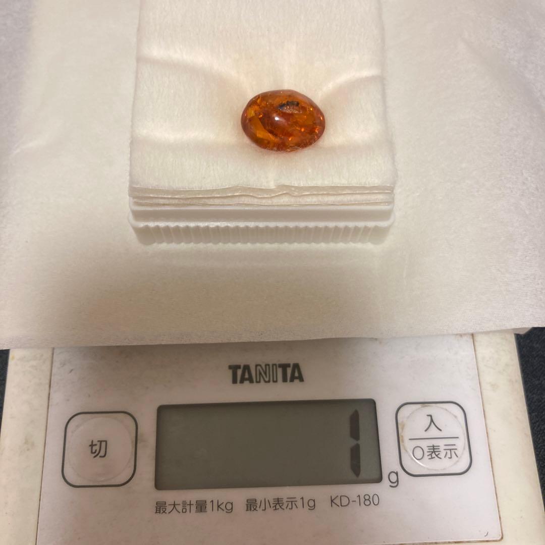 虫入り琥珀 ドミニカ産