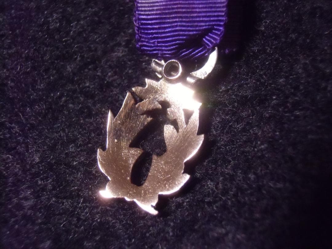 Ｆフランス＊学芸・芸術勲章＊騎士級＊オーダーメイド品＊ミニチュア章（実物）