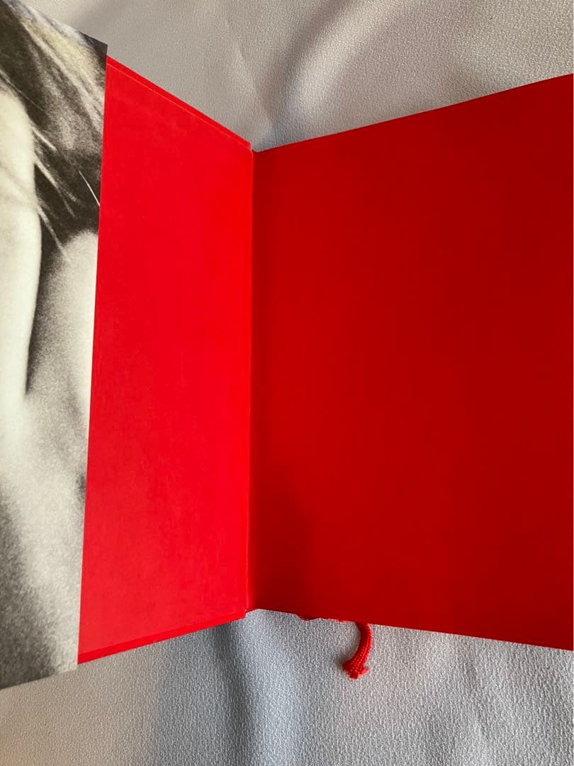 f(x) KRYSTAL 写真集