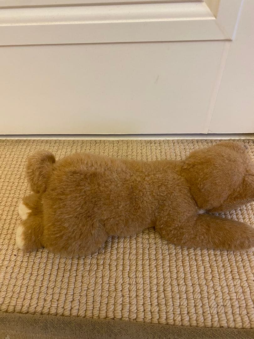 四季オリジナル　柴犬　ぬいぐるみ