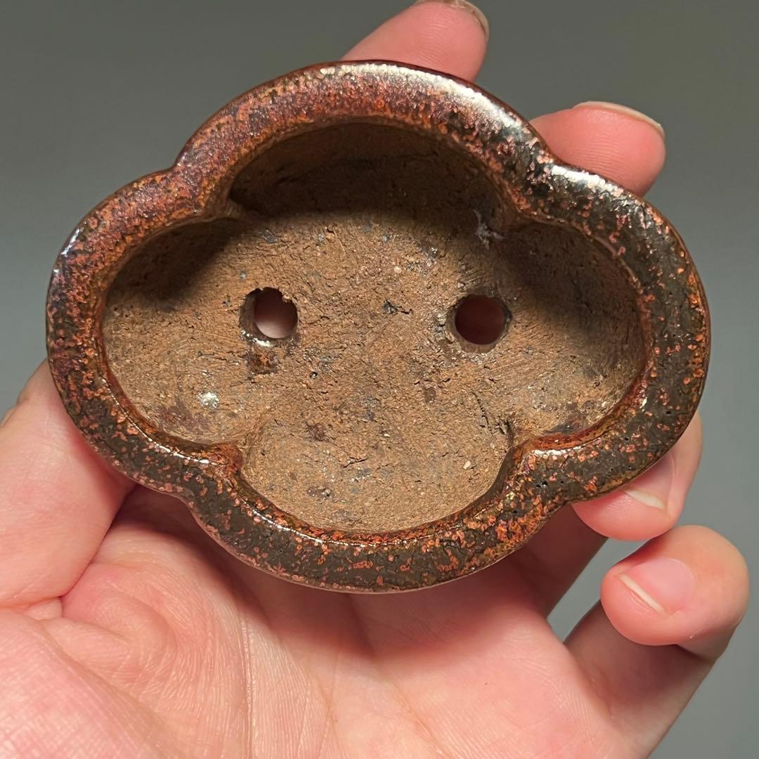 801.夢陶 赤鉄釉雲足木瓜 盆栽鉢 植木鉢 7.8*6.3*3cm