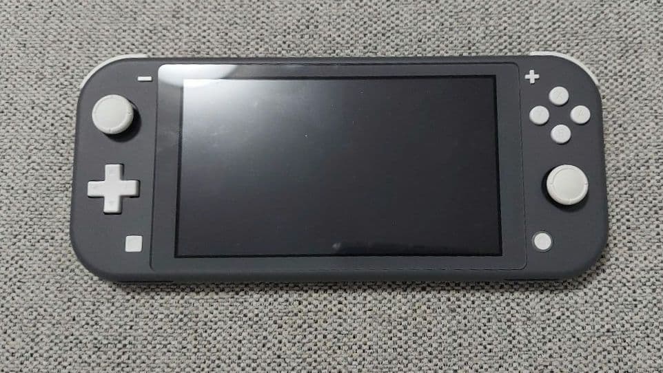 【大値下げ】Switch Lite グレー 本体 充電器 ケース ソフト