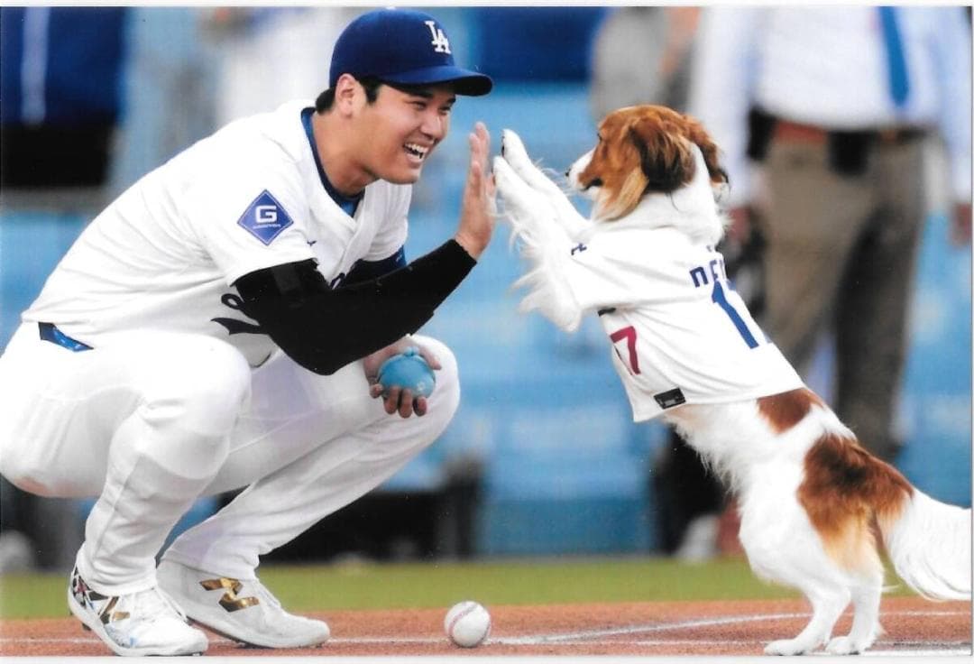 大谷翔平　MLB　ロサンゼルス・ドジャース　 記念グッズセット