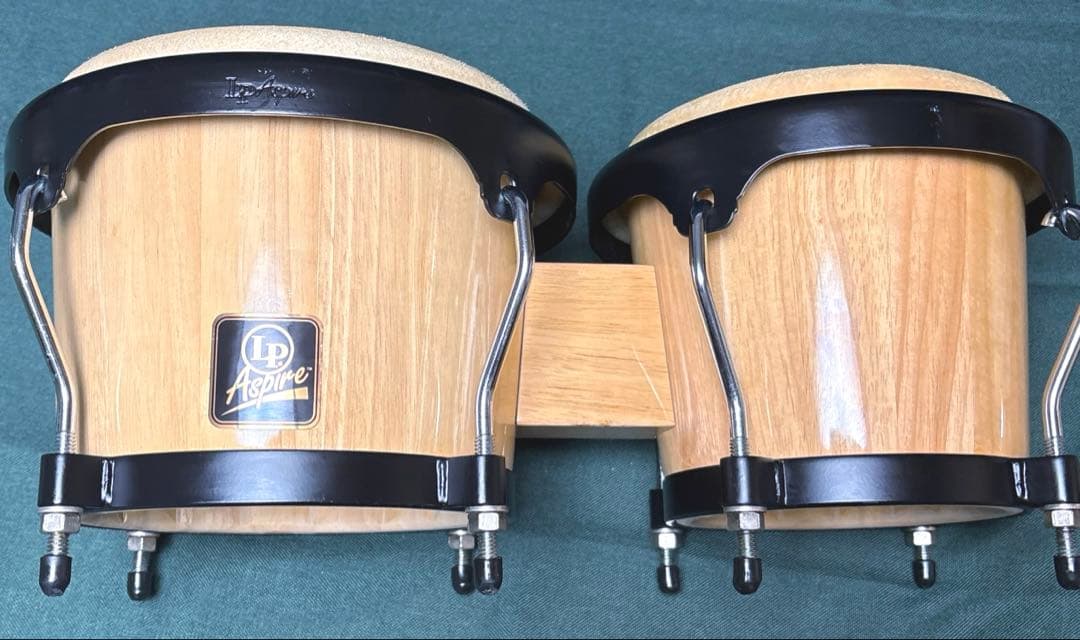LP Aspire ボンゴ パーカッション
