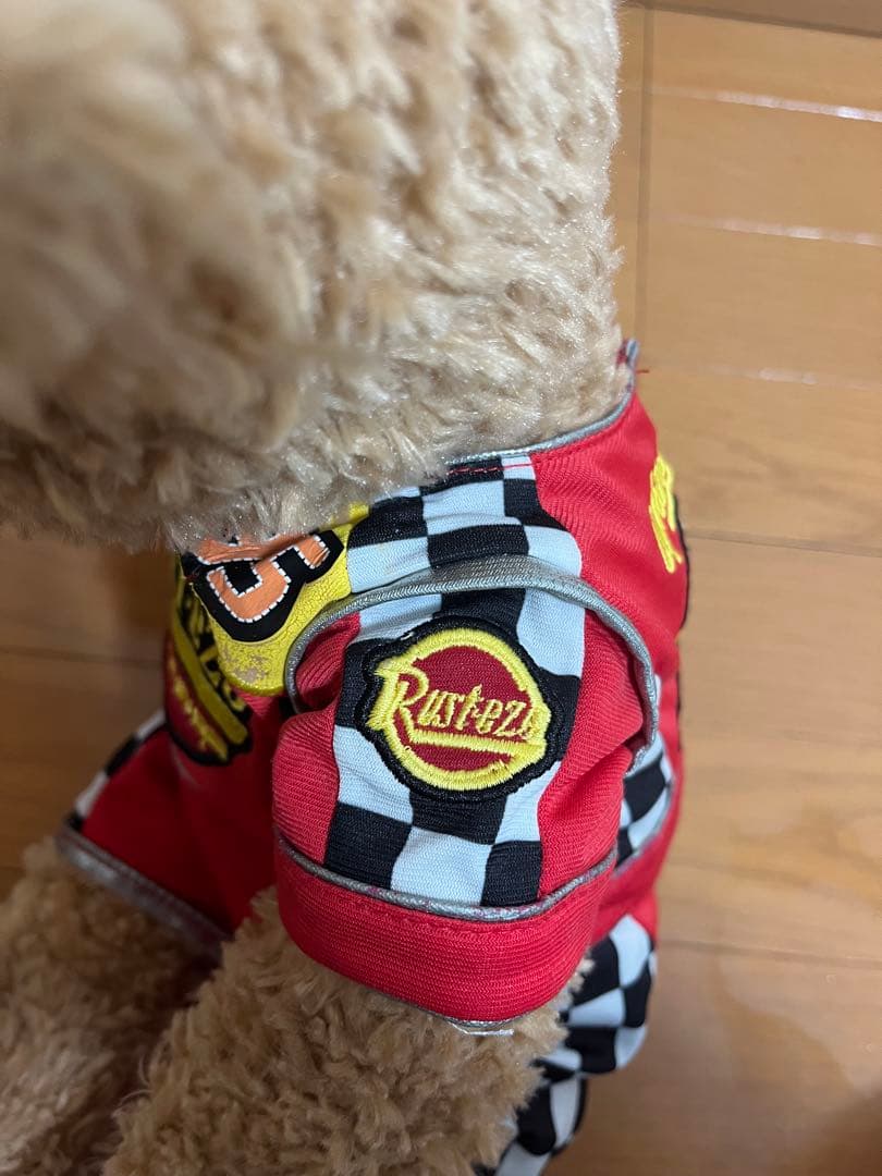 ダッフィー　ハワイ製　マックイーンコスチューム着用