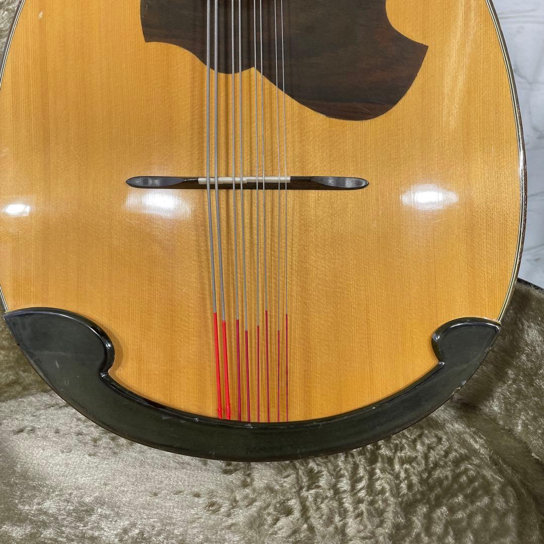SUZUKI MANDOCELLO スズキ マンドチェロ MC-836