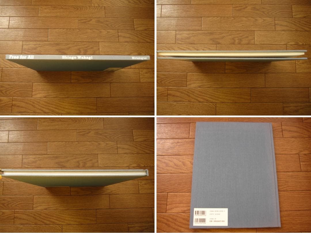 Free for All　Shingo Wakagi　若木信吾