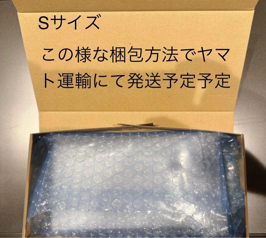 PSA10ミュウ ex #205 SAR3782