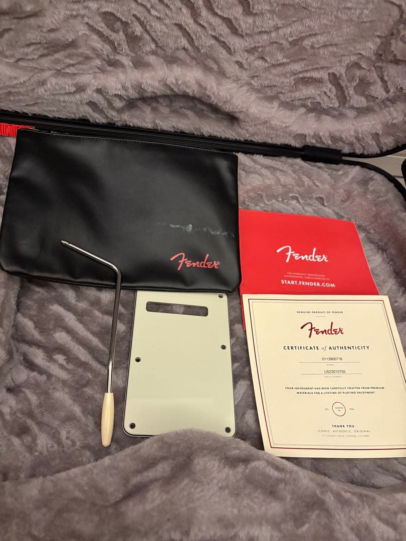 FenderAmericanProfessional IIストラ トキャスター