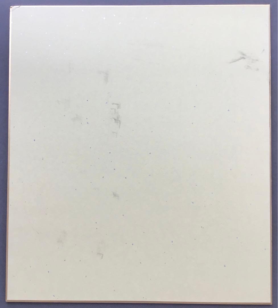 色紙　臨済宗相国寺　記念　松國大龍　畳紙　配送用袋　S1030SSD