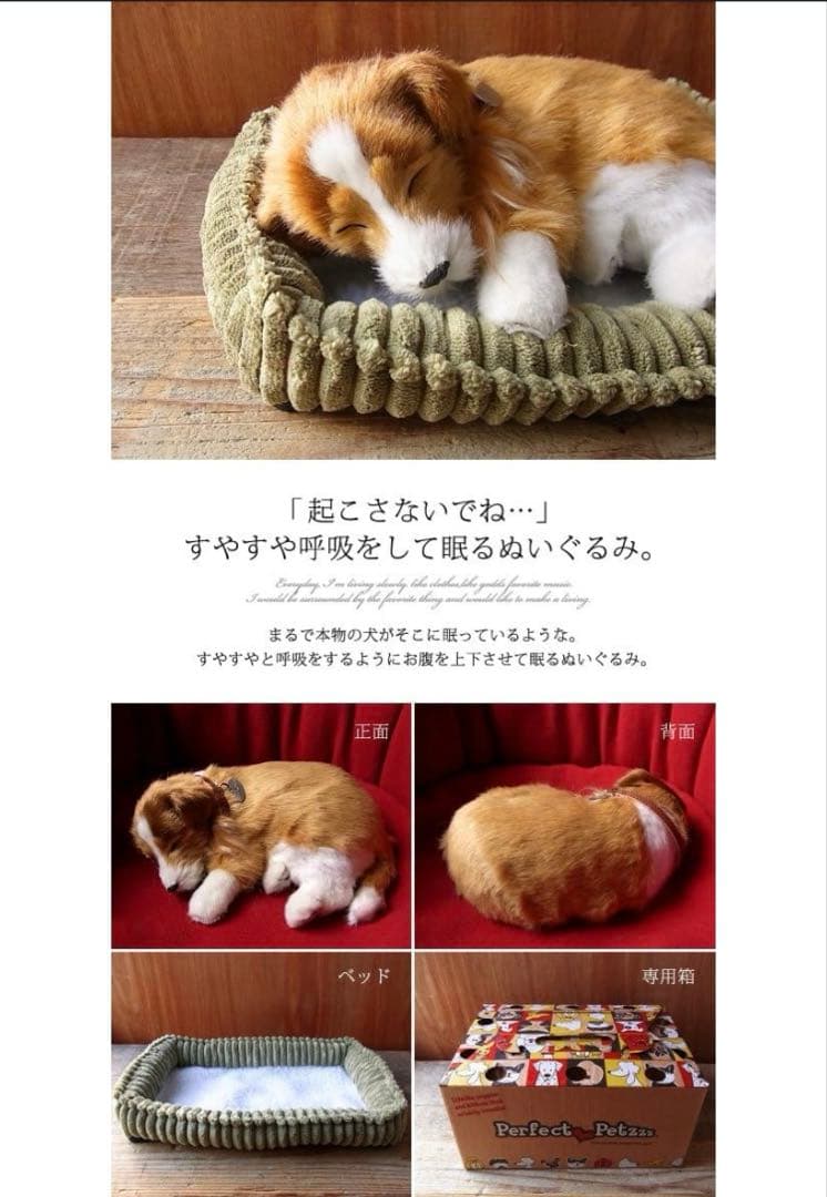 【新品】 ニニアンドキノ パーフェクトペット コリー 小型犬 リアル 動物